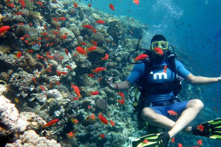 Egypt Tour packages 10 Days Egypt New Year Tour Package Cairo to luxor and Hurghada