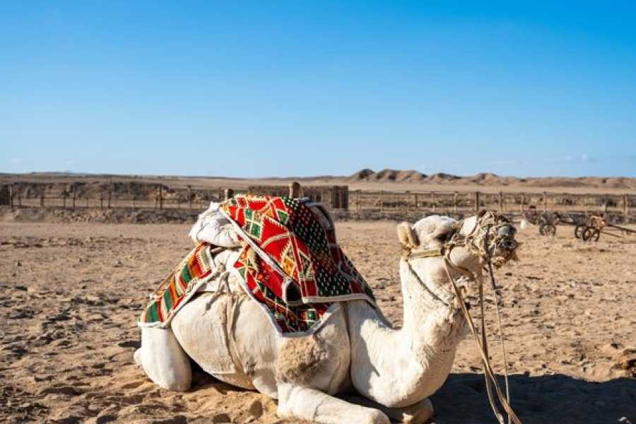 Egypt Tour packages 15-dages Kulturel og historisk tur til Kairo, Nilen og R&oslash;dehavet fra Kairo