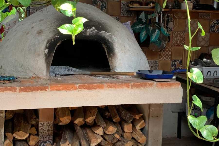 Tour Guanacaste Blue Zone Costa Rica Experiences