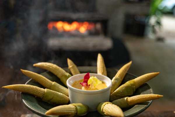Indigenous and Cooking Class Experiences