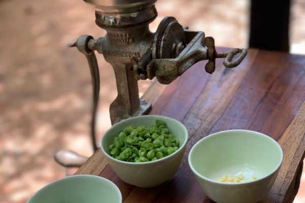 Indigenous and Cooking Class Experiences
