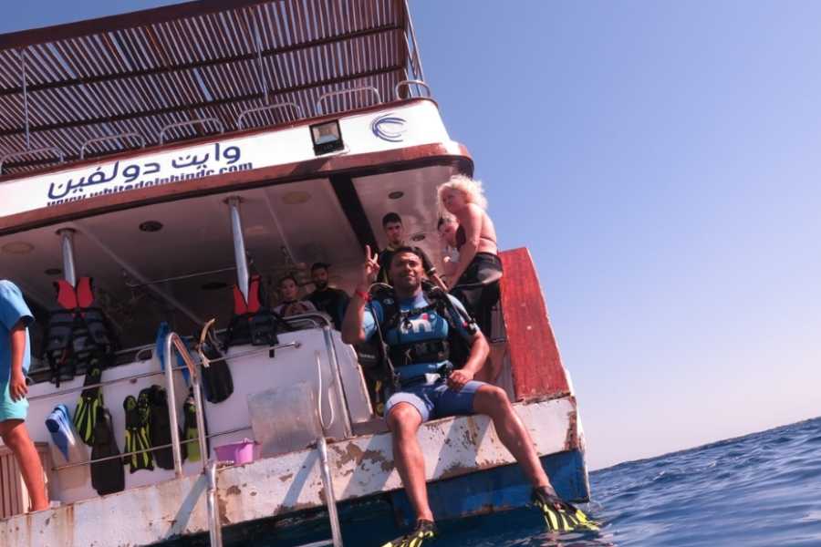 Egypt Tour packages 12 Days Egypt  New Year Tour Package Cairo Nile Cruise and the Red sea