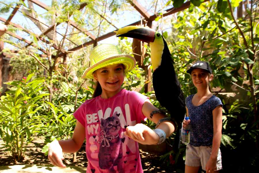 Tour Guanacaste Diamante Animal Sanctuary and Cultural Day Pass