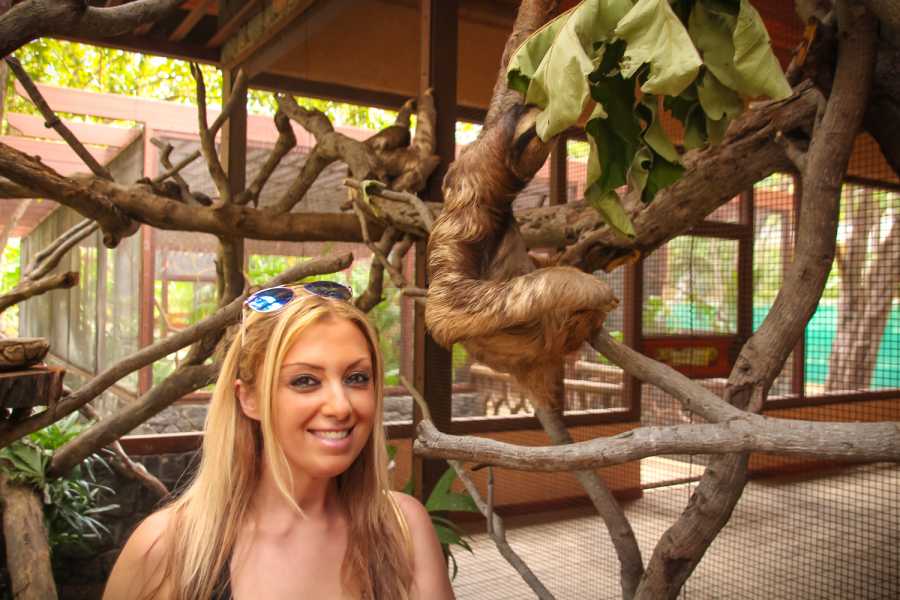 Tour Guanacaste Diamante Animal Sanctuary and Cultural Day Pass