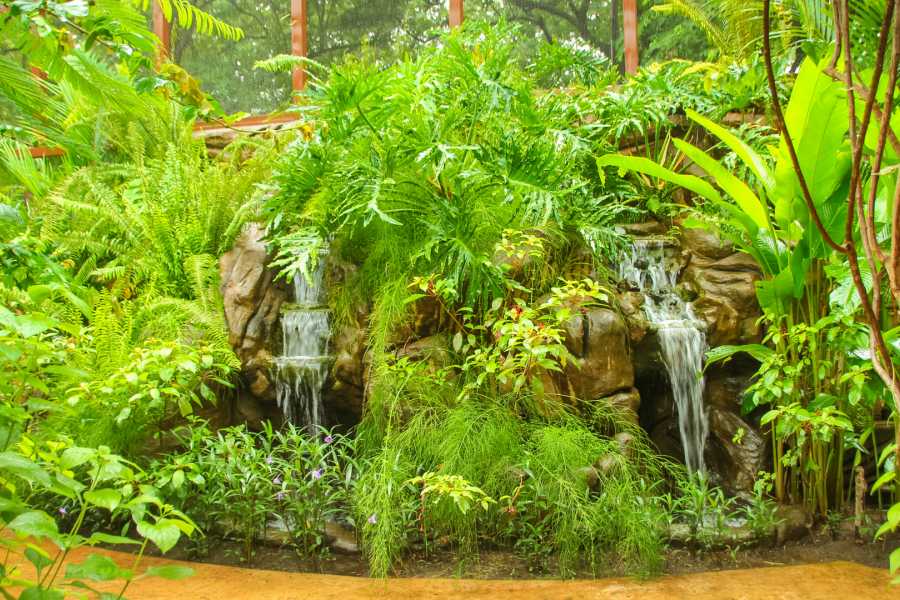 Tour Guanacaste Diamante Animal Sanctuary and Cultural Day Pass