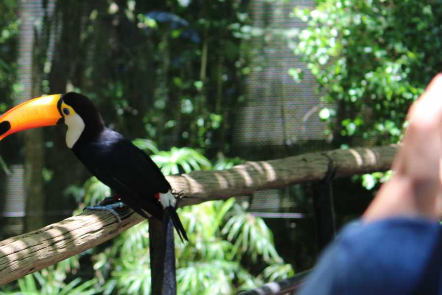 Tour Guanacaste Diamante Animal Sanctuary and Cultural Day Pass