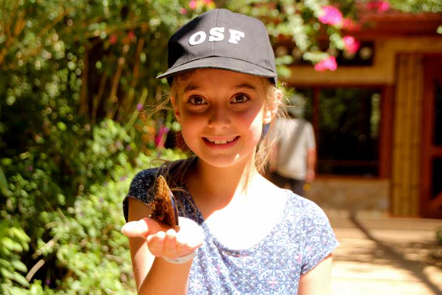 Tour Guanacaste Diamante Animal Sanctuary and Cultural Day Pass