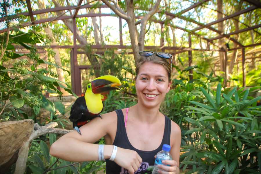 Tour Guanacaste Diamante Animal Sanctuary and Cultural Day Pass