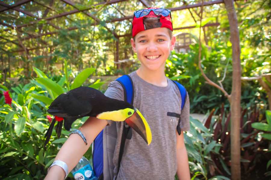 Tour Guanacaste Diamante Animal Sanctuary and Cultural Day Pass