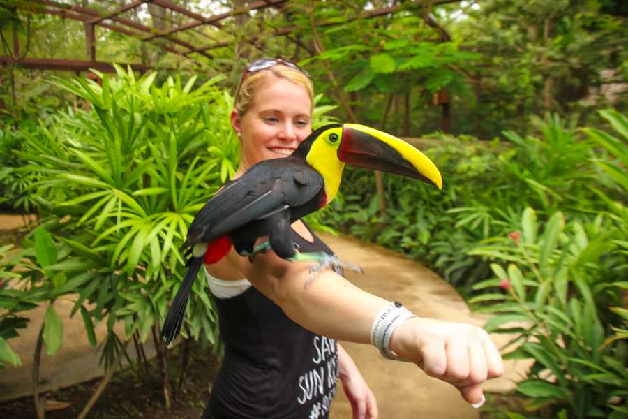 Tour Guanacaste Diamante Animal Sanctuary and Cultural Day Pass