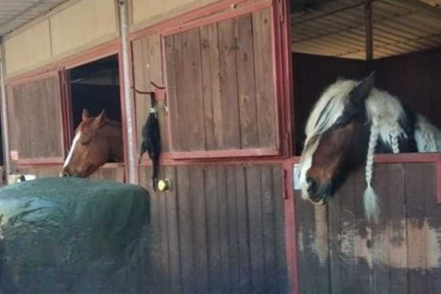 Modenatur Tour dell'Ippodromo Ghirlandina