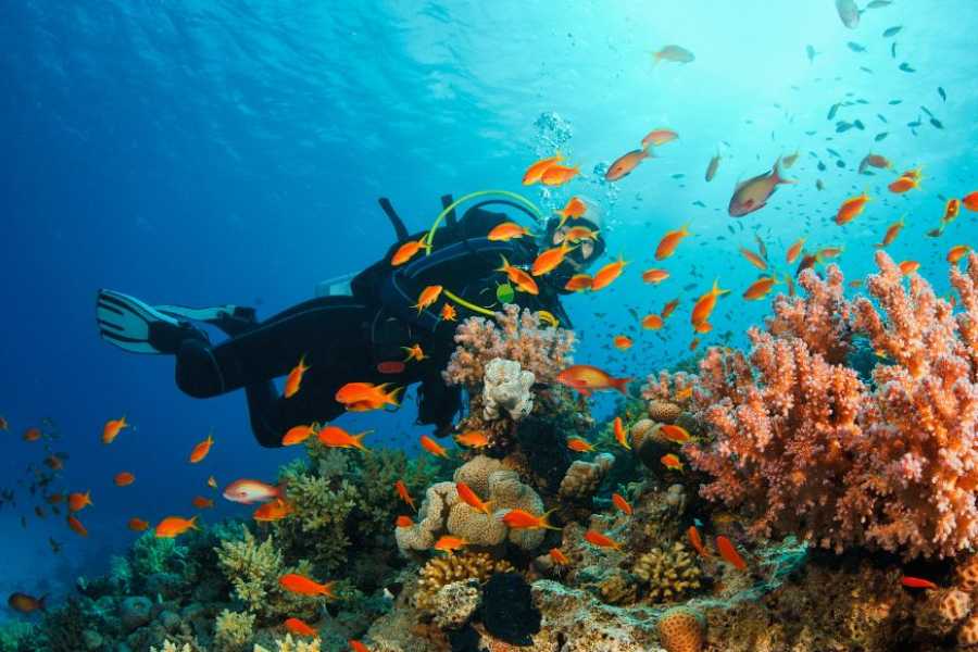 Egypt Tour packages 8 Days Egypt Tour Package without hotels or flights