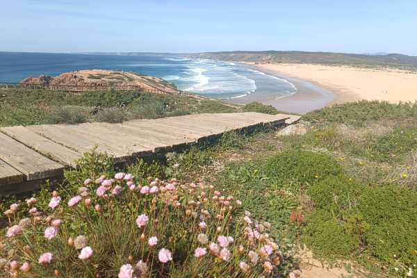 Algarve Fast and Full Discovery