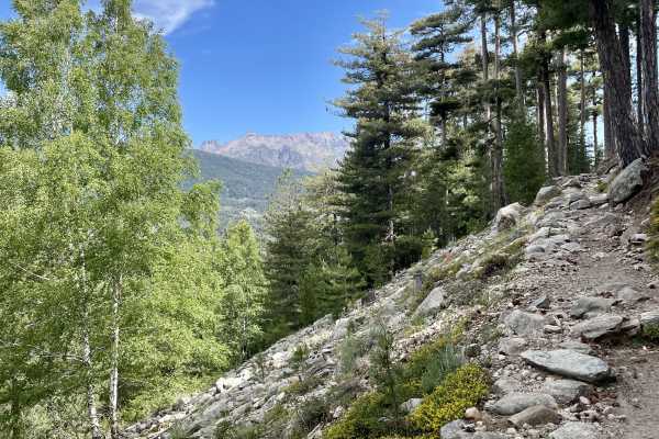Wanderung Wald von Bonifatu - Boucle de Ficaghjola