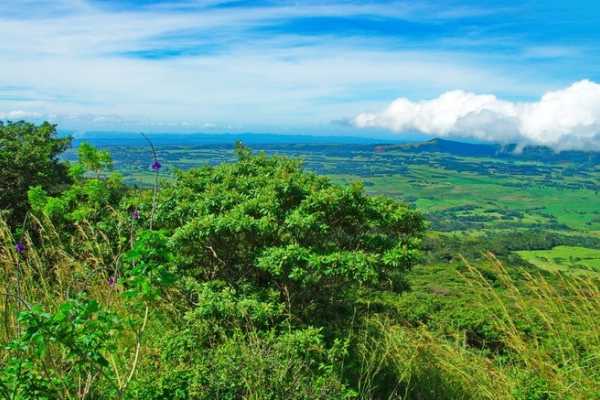 Bijagua Coffee and Chocolate Experience