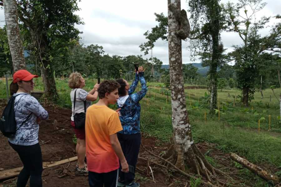 Tour Guanacaste Bijagua Coffee and Chocolate Experience