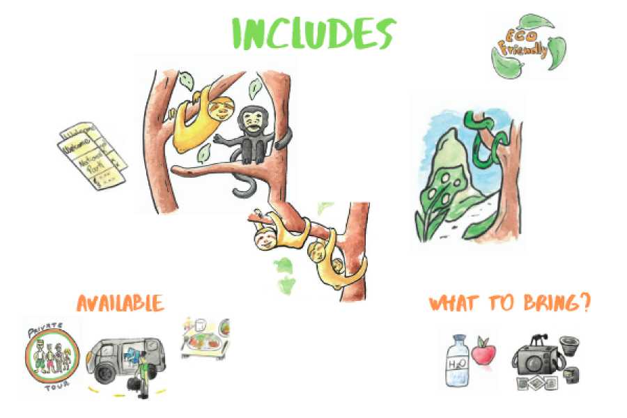 Tour Guanacaste Bijagua Coffee and Chocolate Experience