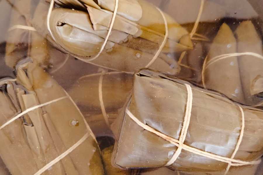 Tour Guanacaste Bijagua Coffee and Chocolate Experience