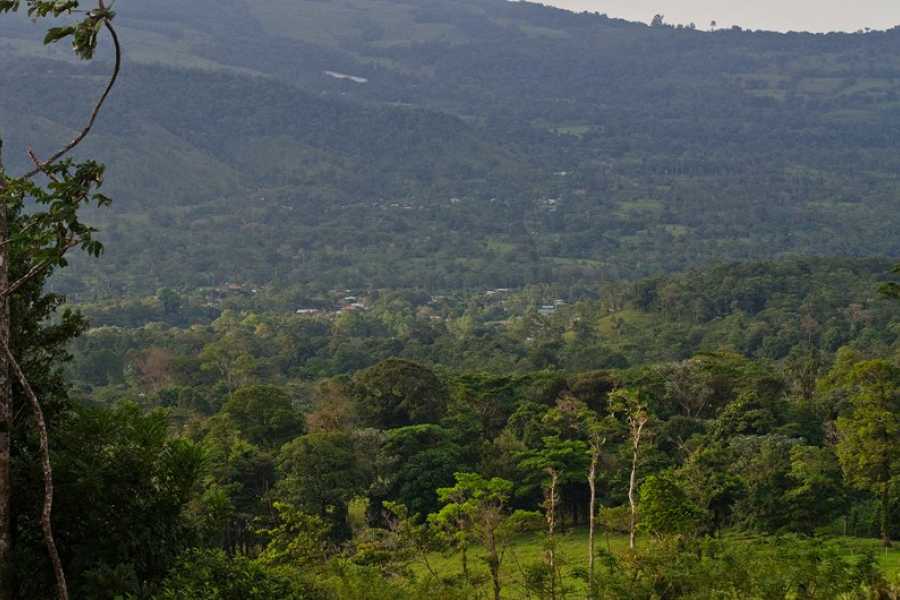 Tour Guanacaste Bijagua Coffee and Chocolate Experience