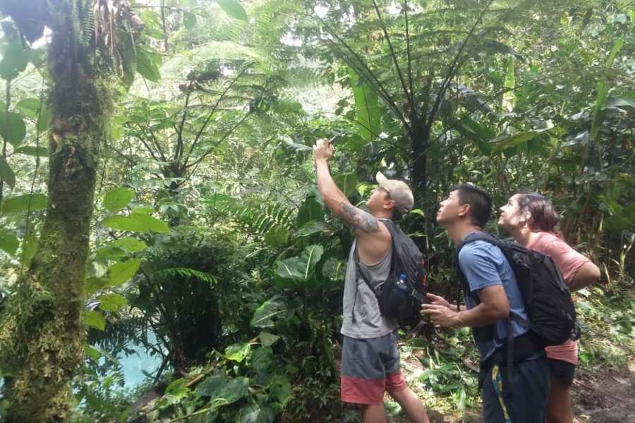 Tour Guanacaste Bijagua Coffee and Chocolate Experience