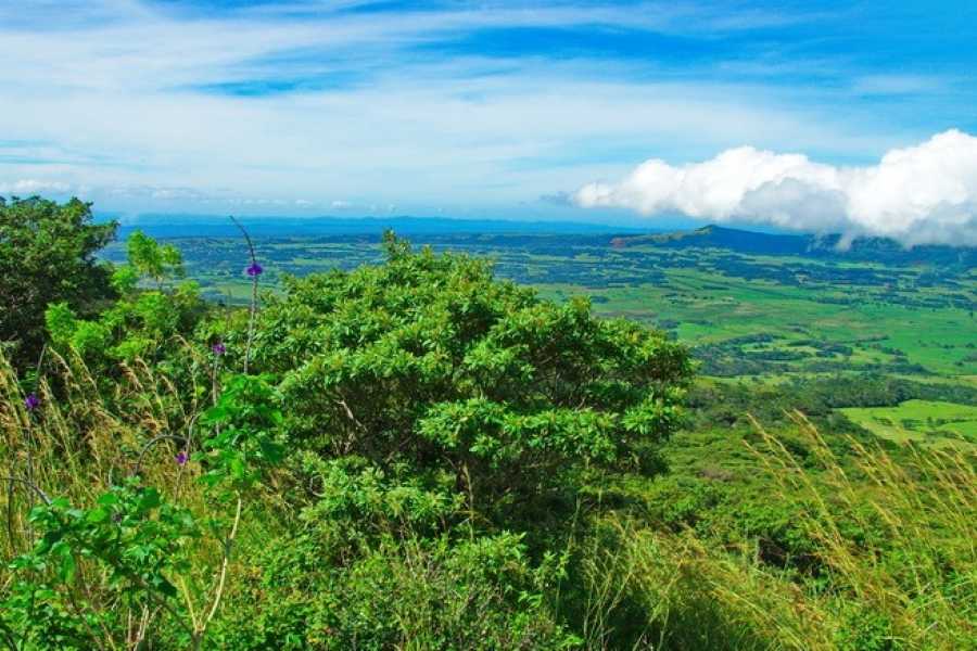 Tour Guanacaste Bijagua Coffee and Chocolate Experience