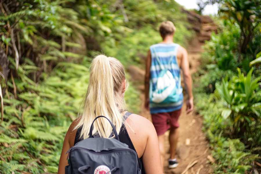 Tour Guanacaste Bijagua Coffee and Chocolate Experience