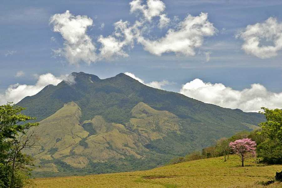 Tour Guanacaste Bijagua Coffee and Chocolate Experience