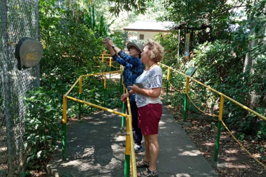 Tour Guanacaste Bijagua Coffee and Chocolate Experience