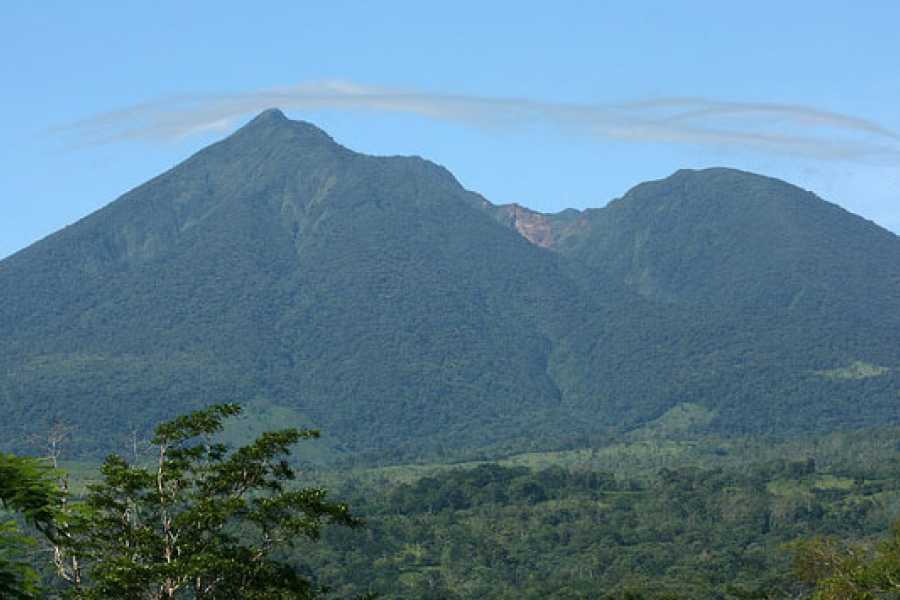 Tour Guanacaste Bijagua Coffee and Chocolate Experience