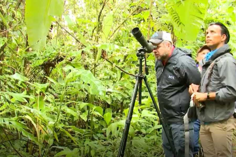 Tour Guanacaste Bijagua Coffee and Chocolate Experience