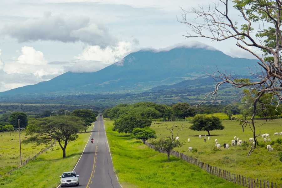 Tour Guanacaste Bijagua Coffee and Chocolate Experience