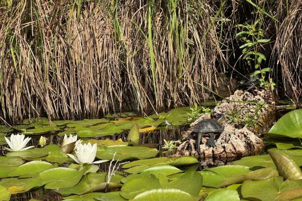 Naturerlebnis Fango &ndash; Vom Kajak zur Badegumpe