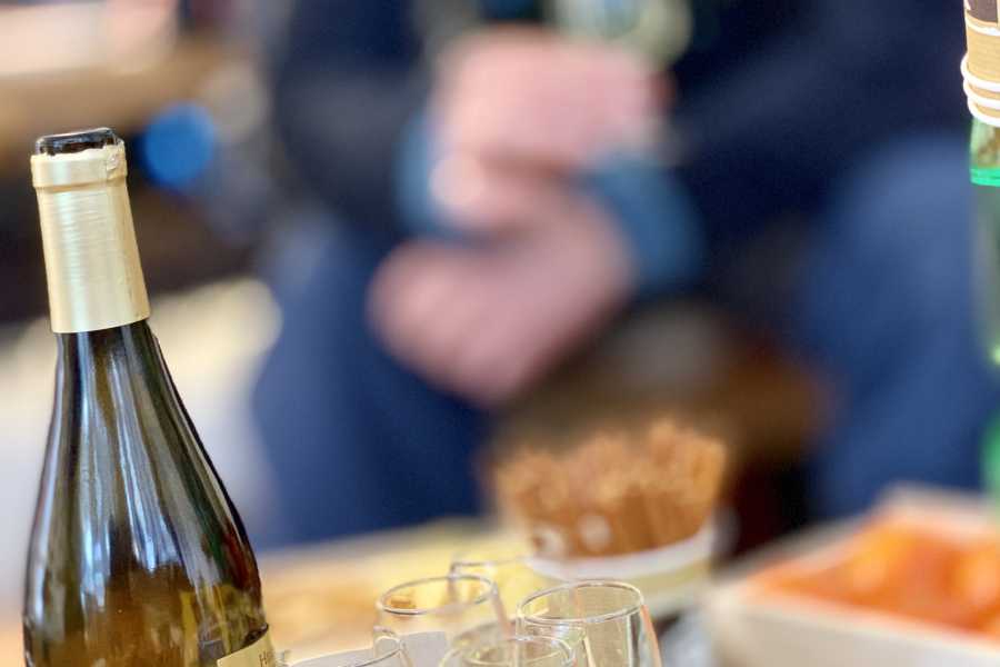 Saas-Fee Guides Saisonairs - Lawinenkurs