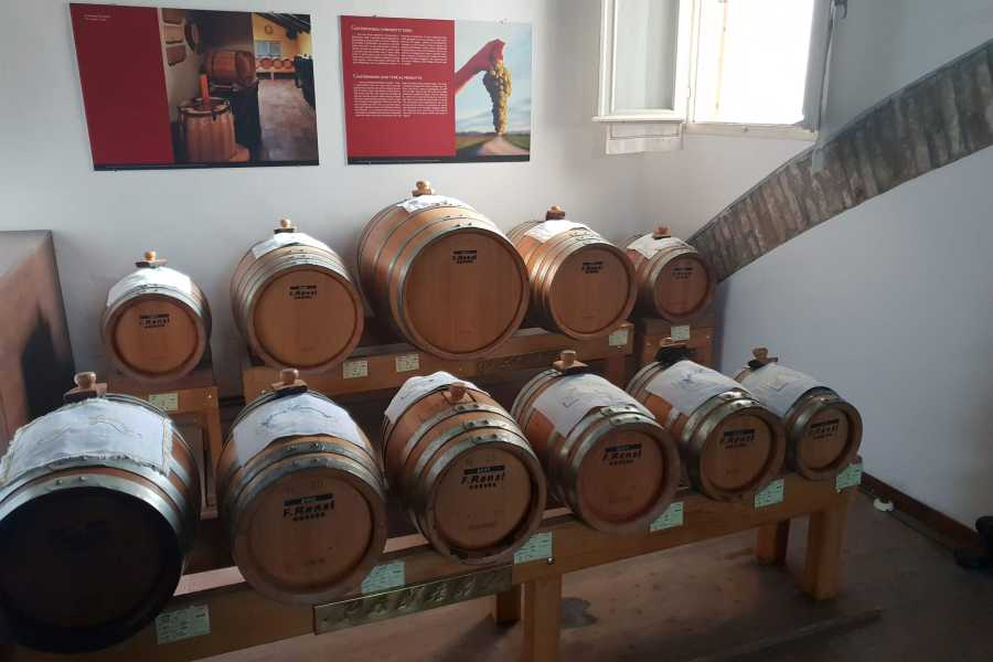 Modenatur Visita guidata dell’Acetaia e delle Sale Storiche del Palazzo Comunale - Speciale Autunno fuori dal Comune