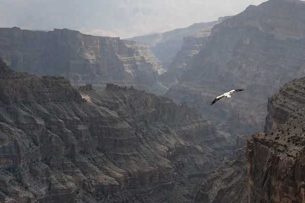 VIP Jebel Shams Summit