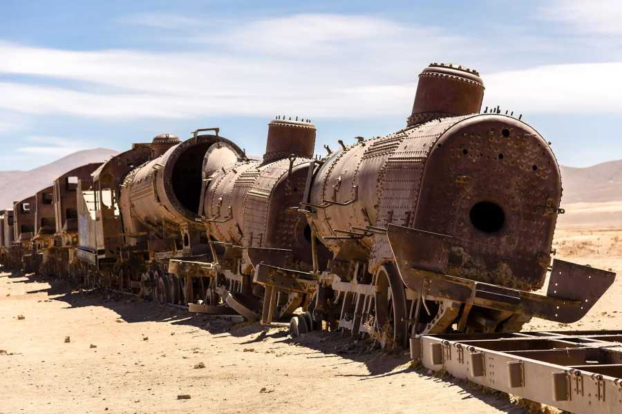 buhostours Desde La Paz:  Uyuni 1 día + Billete de bus