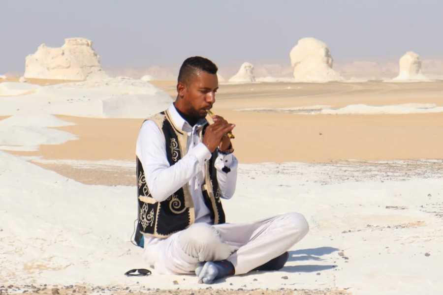 Egypt Tour packages 4 dages tur til den hvide &oslash;rken og Wadi el Hitan fra Kairo