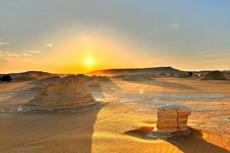 Egypt Tour packages 4 dages tur til den hvide &oslash;rken og Wadi el Hitan fra Kairo