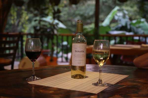 Tekana - Boutique Jungle Retreat Double Suite
