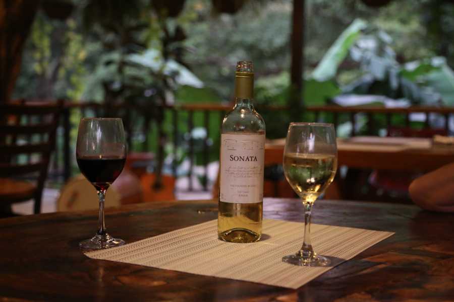 Black Stallion Eco Ranch Tekana - Boutique Jungle Retreat Double Suite