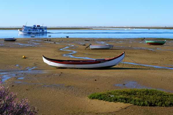 *OA* Algarve Fast and Full Discovery