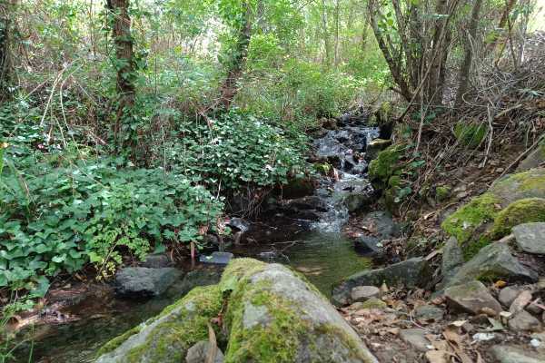 *OA* Algarve Walking & Wellness