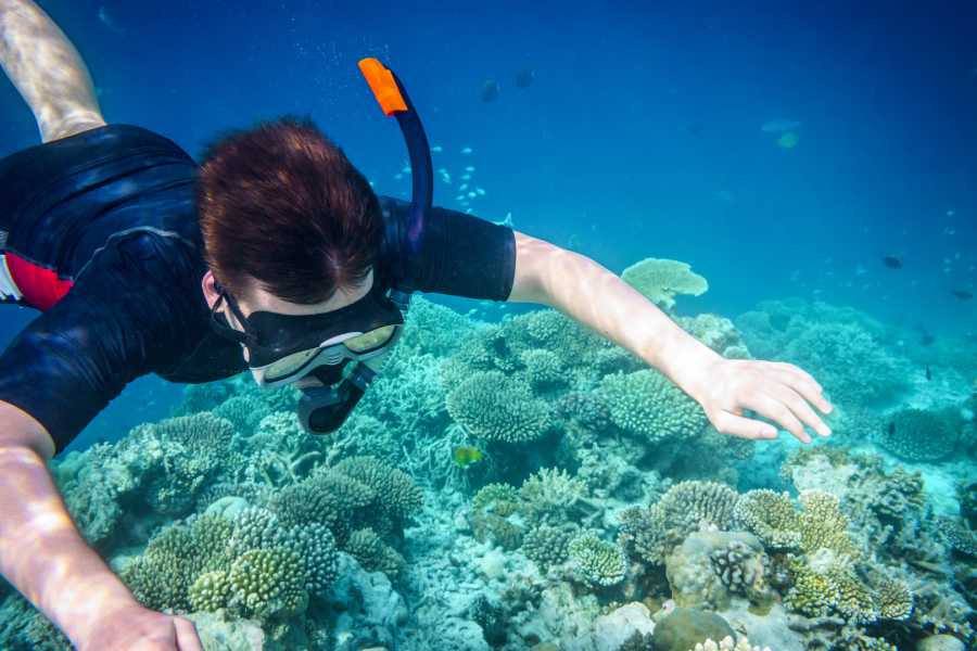 Tour Guanacaste Fountain Private Sunset Catamaran Tour