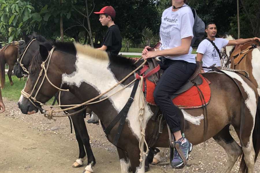 Black Stallion Eco Ranch Tekana - Ride & Snooze for 2 guests
