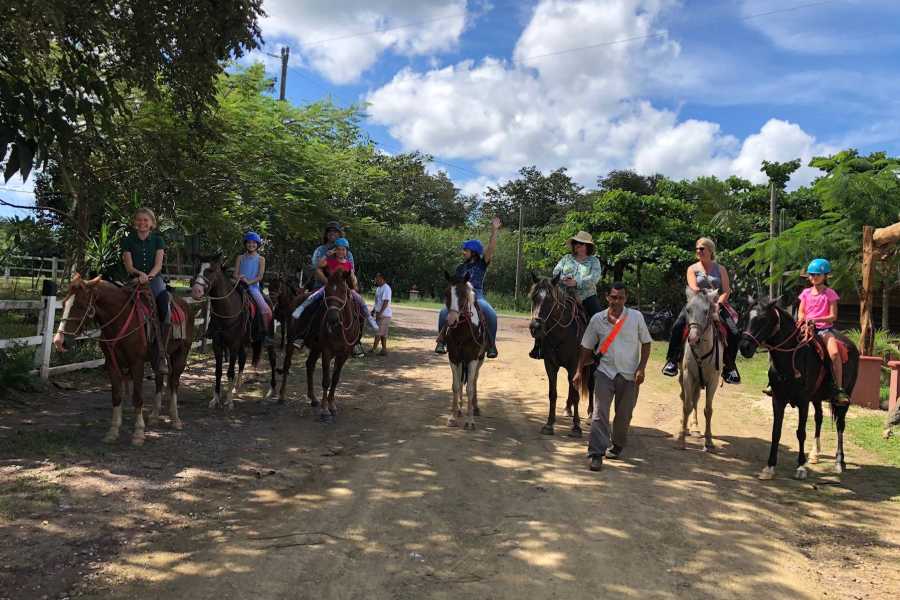 Black Stallion Eco Ranch Tekana - Ride & Snooze for 2 guests