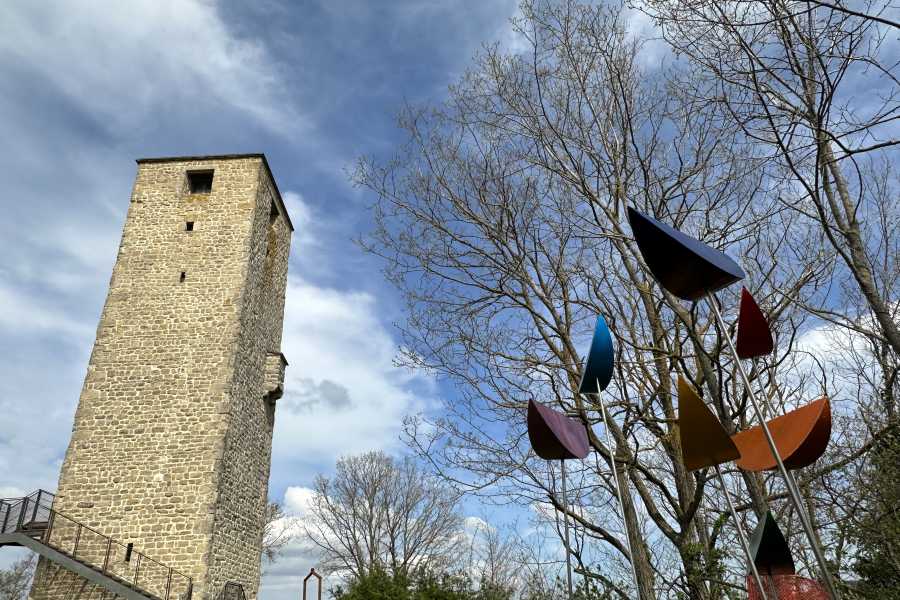 Modenatur Visita alla Torre e Borgo di Lavacchio