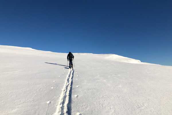 Splitfest 2026 | 13-15 februar