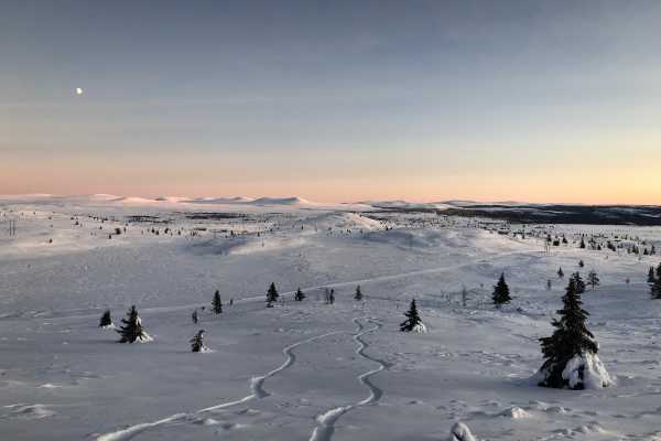 Splitfest 2026 | 13-15 februar