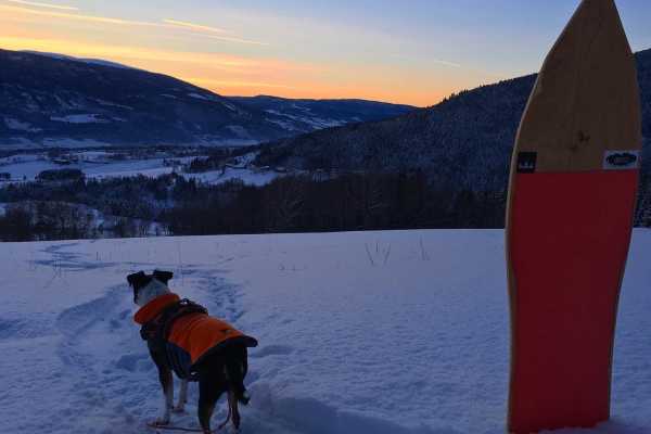 Workshop |&nbsp;Bygg din egen powsurf! 17. januar 2026