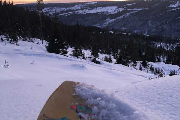 Workshop |&nbsp;Bygg din egen powsurf! 17. januar 2026